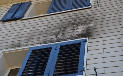Fassadenreinigung Algenentfernung – so schützen Sie Ihr Haus!